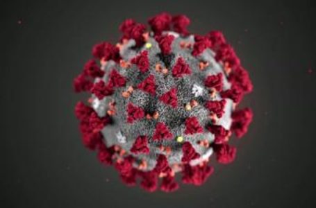 4 Things to Know About the Science of Coronavirus